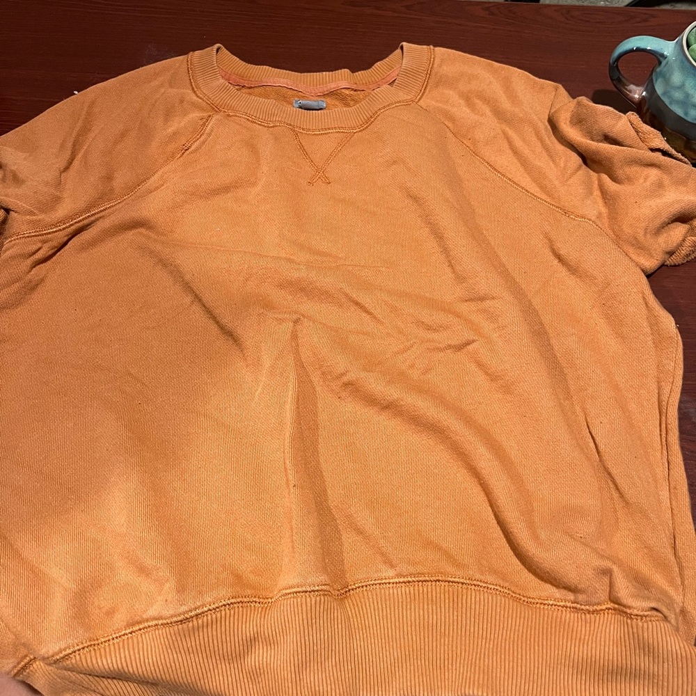 Aerie short sleeve sweatshirt